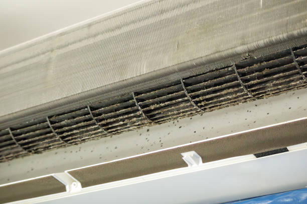 Home Air Vent Cleaning in Westhaven Moonstone, CA
